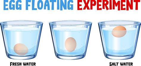 Science experiment with egg float test 2088344 Vector Art at Vecteezy