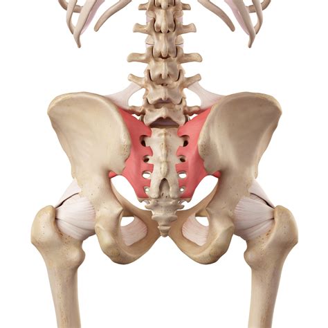 sacroiliac joint Archives