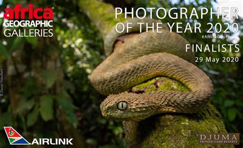 Photographer of the Year 2020 Finalists - Africa Geographic