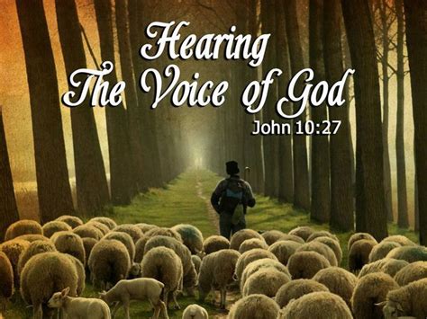 John 10:27 My sheep hear my voice, and I know them, and they follow me. | John 10 27, Bible ...