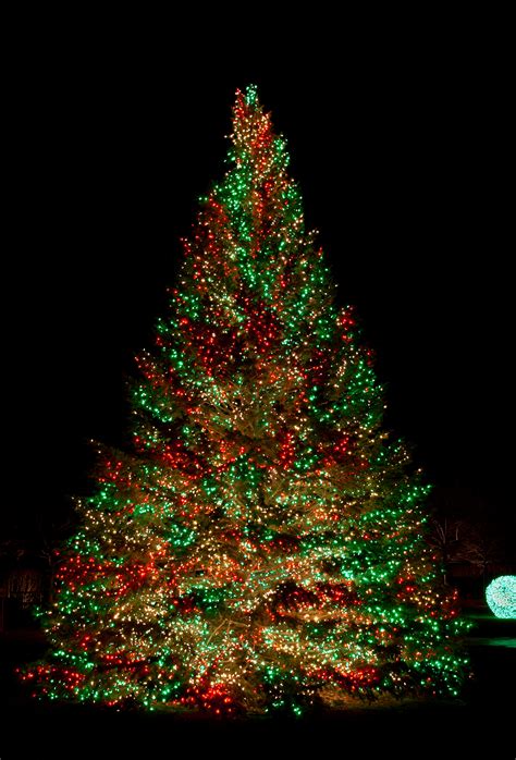 Primo Lights Announces Soaring Demand for LED Christmas Lights this Holiday Season