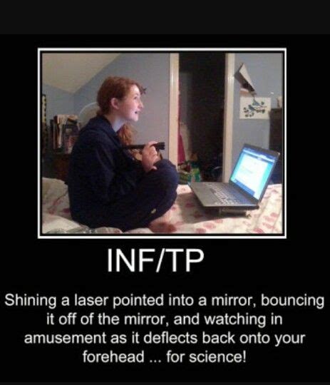 Infp intp humor poster | Infp personality type, Infp personality, Intp ...