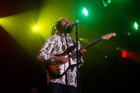 Reggae returns to Long Beach with new California Vibrations Festival ...