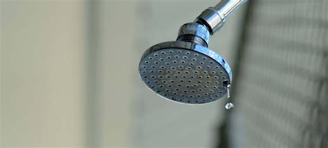 Shower Head | Leaking | Plumbing Issues | Professional Plumber