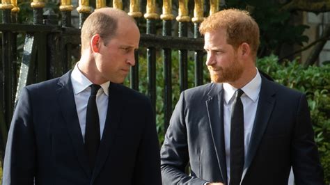 Prince William & Harry's Relationship Worse After Murdoch Payout Story