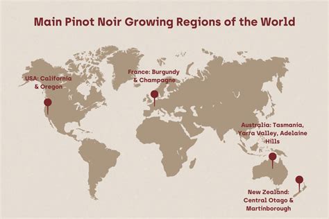 How to Pi-not it all: The Lowdown on Pinot Noir – Just Enough Wines