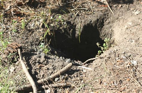 Dug A Hole In The Ground - A Pictures Of Hole 2018