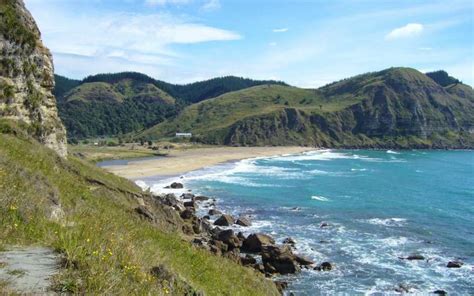 4 of the Best Beaches in Napier // New Zealand // World Beach Guide