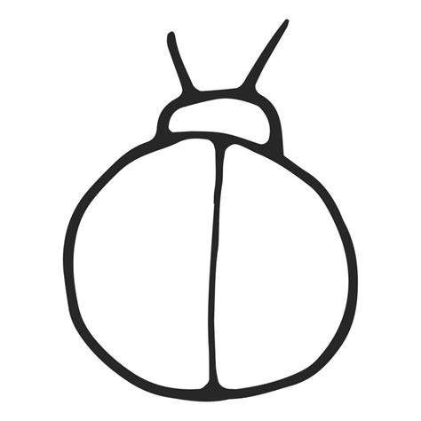 Beetle hand drawn, simple line drawing, black outline. Hand drawn, vector, on white background ...