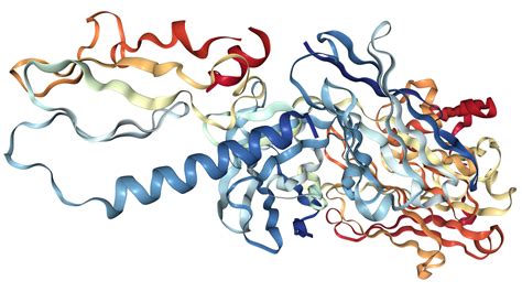 GLP1R Protein Overview | Sino Biological