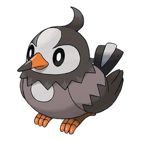 Starly | Pokédex