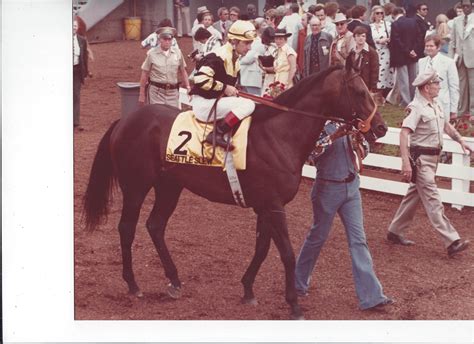 Remembering - Seattle Slew - 1977 Triple Crown winner | Trainer Magazine | North American ...