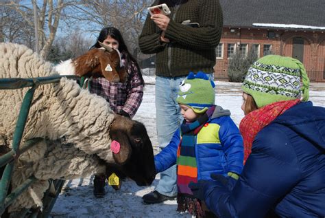 Clark Park Presents 11th Annual Winter Carnival and Hockey Classics - EL CENTRAL Hispanic News