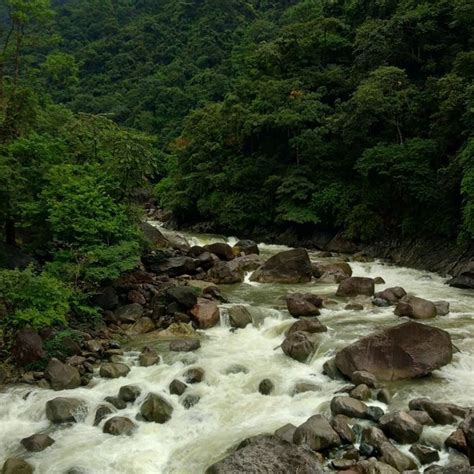 Where is the Umshiang Double Decker Root Bridge located? - Quora