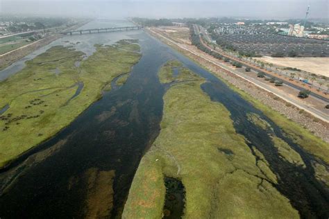 NATURE TALK - CITIZEN SCIENCE AND OUR SAN DIEGO RIVER | San Diego Public Library