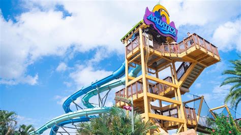 Aquatica Orlando: Ultimate Guide for Families (2024) - FamilyVacationist