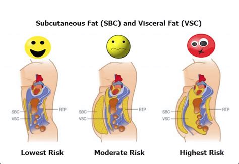 The Different Types of Body Fat and How They Affect Your Health