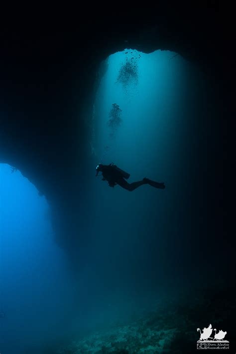 Day 8 – Diving in Palau – ThousandWords