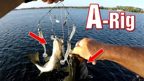 How To Fish an Alabama Rig for Summertime Bass (Umbrella Rig) - YouTube