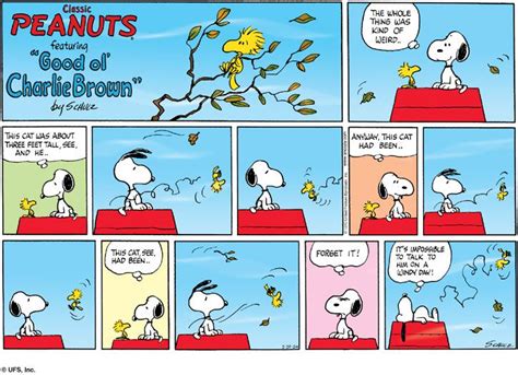 Best Ever Infinity Comic Strips : Peanuts / Snoopy