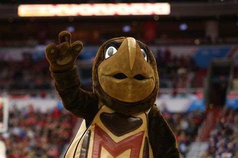 Ranking all 68 NCAA tournament teams by mascot | For The Win