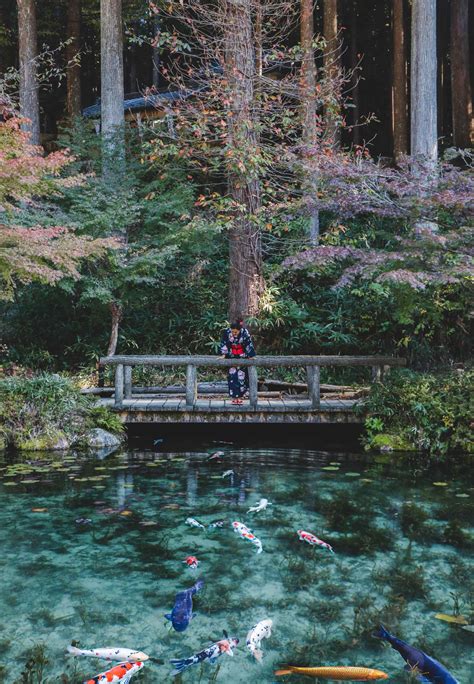 Finding Japan's Magical Monet's Pond