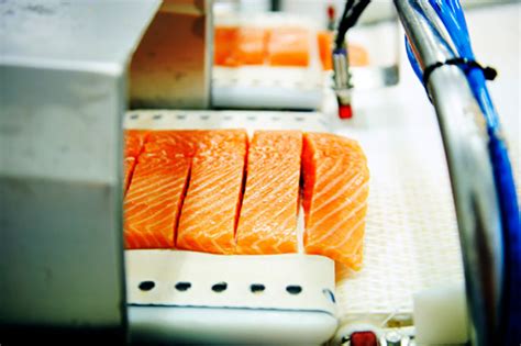 Norwegian salmon farming sees continued drop in antibiotics use