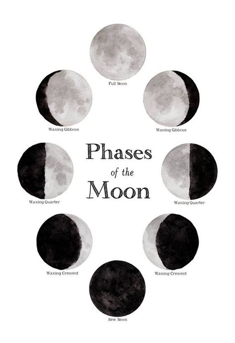 School Room Chart Phases of the Moon 12 X 18 Poster Lunar, Montessori, Home School, Educational ...