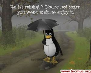 Funny Quotes Rainy Day. QuotesGram