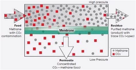 AFM for Effective Separation of Gas Mixtures