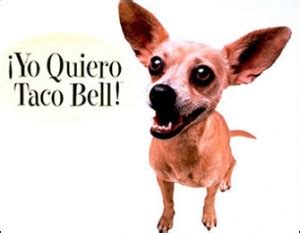 taco bell chihuahua us border crossing | famous chihuahua