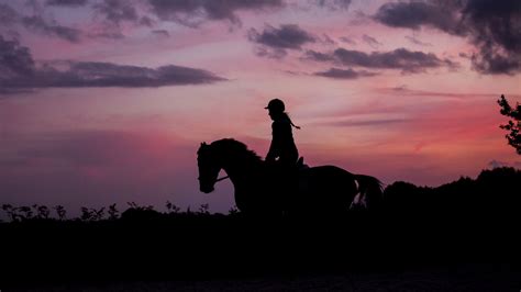 Horse Sunset 4K Wallpapers - Top Free Horse Sunset 4K Backgrounds ...