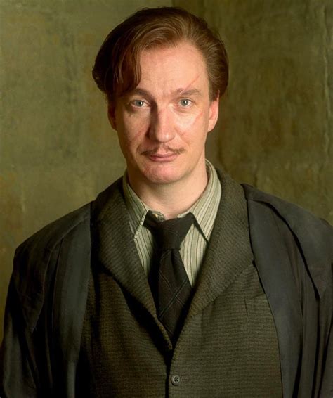 Portrait of Remus Lupin — Harry Potter Fan Zone