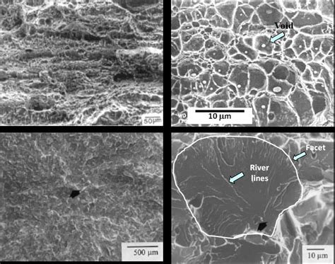 3: Ductile fracture surface at (a) lower magnification and (b) higher ...