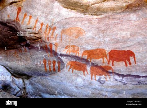 Khoisan hi-res stock photography and images - Alamy