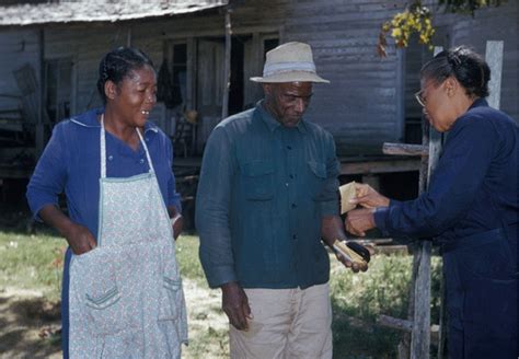 The Tuskegee Experiment Timeline - The San Diego Voice & Viewpoint