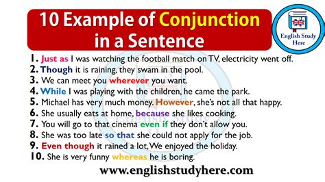 10 Example of Conjunction in a Sentence - English Study Here