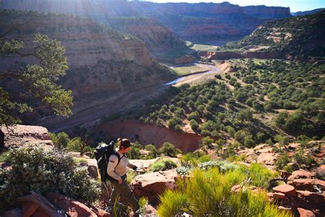 Trail work at Navajo National Monument - American Conservation Experience