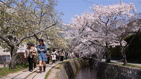 Philosopher's Path - Kyoto Travel