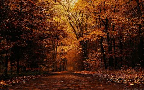 Free Vintage Autumn Wallpapers - Wallpaper Cave