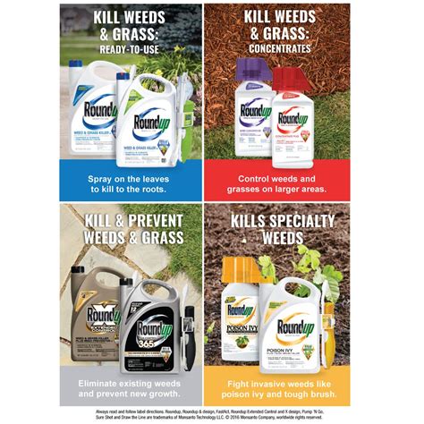 Roundup Ready-To-Use Extended Control Weed & Grass Killer Plus Weed ...