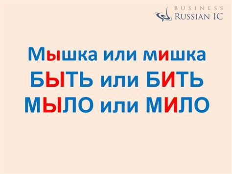 Russian vowels: soft and hard | Business Russian intensive courses