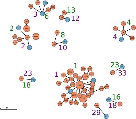 Frontiers | Clonal relation between Salmonella enterica subspecies enterica serovar Dublin ...