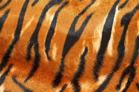 Tiger Pattern In HD | Animal print wallpaper, Tiger stripes, Facebook print