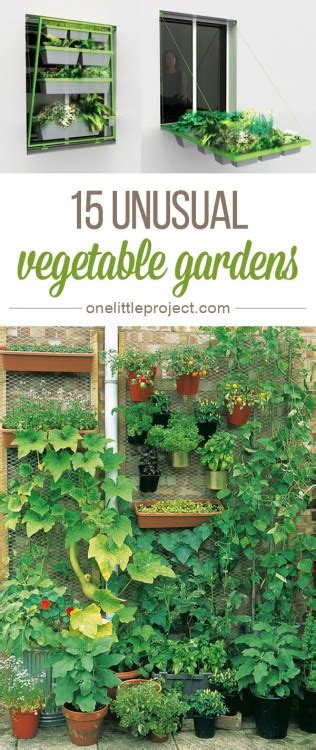 15 Unusual Vegetable Garden Ideas