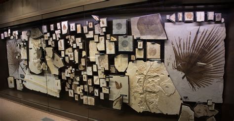 Fossil Butte National Monument, WY | Visitor Center Museum, … | Flickr