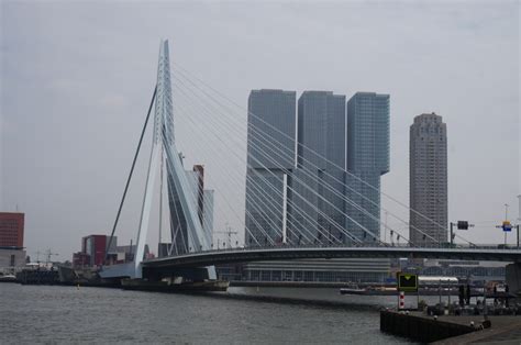 Erasmus Bridge - Money We Have