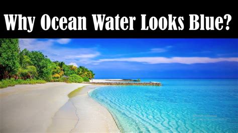 Why Ocean Water is Blue - Why Sea Water is Blue - Why Ocean Water is ...