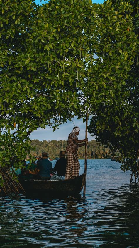 5 Mangrove Forests For Nature Lovers