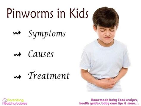 Pinworms are intestinal infections in kids. It is caused by small ...